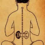taller de qigong y los 5 elementos