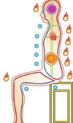 Qigong y Meditación