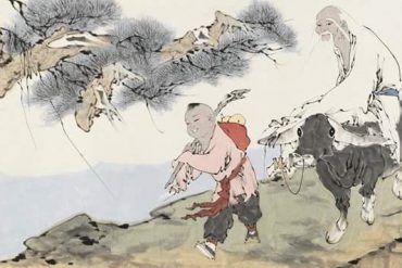 Taller de Qigong y los 5 elementos Madera